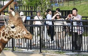 Mercury reaches 30 C in Hokkaido