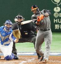 Baseball: Netherlands bounce back to hammer Israel in WBC