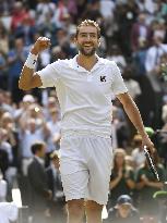 Cilic beats Querrey in Wimbledon semi