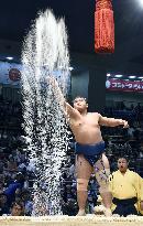 Scenes of sumo