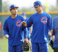 Baseball: Chicago club's spring training