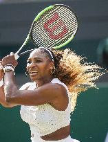 Tennis: Wimbledon championships