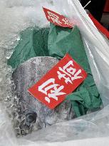Sojitz begins shipment of farmed bluefin tuna