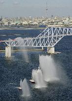 Tokyo Gate Bridge