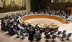 U.N. Security Council holds debate on 70th anniv. of end to WWII