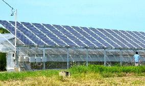 Greenhouse uses solar power in pilot farming project in northern Japan