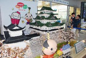 Centrair celebrates 5th anniversary with Nagoya Castle cake