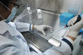Lab worker cleanses cell sheet