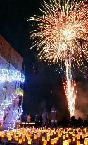 Fireworks displayed for 2011 tsunami victims in Fukushima