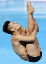 Japanese diver Terauchi qualifies for Rio Olympics