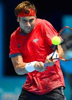 Wawrinka keeps semifinal hopes alive
