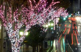 Row of cherry blossom trees replicated by LED bulbs