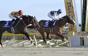 Horse racing: February Stakes in Japan