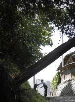 Aftermath of Typhoon Faxai in Chiba