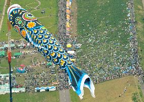 100-meter-long carp streamer