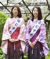 Wisteria queens for 2015 debut at temple in Wakayama, western Japan