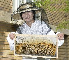 Honey harvested at Japan PM's official residence