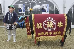 Best Matsuzaka cow priced at 33.10 mil. yen