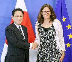 Japan, EU in final talks to strike free trade deal