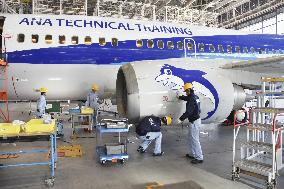 ANA's maintenance training aircraft