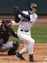Mariners' Ichiro goes 2-for-4 against Royals