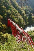 Kurobe Gorge sightseeing train resumes operations