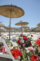 Terrorist attack in Tunisia