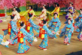 Junior 'geisha' show final practice of Kyoto spring dance