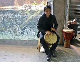 Drum performance to coax alligators to mate