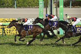 Horse racing: 9th favorite Al Ain wins Satsuki-sho