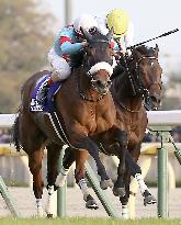 Horse racing: Almond Eye wins Japan Cup