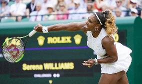 Tennis: Wimbledon championships