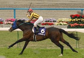 (1)Ingrandire in surprise victory at Tenno-sho