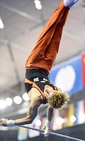 Zonderland wins horizontal bar at world championships