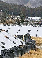 'Hot spots' in Fukushima declared safe but few returning home