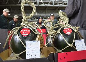 Watermelon fetches winning bid price of 350,000 yen