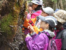 Women interested in moss increasing fast in Japan