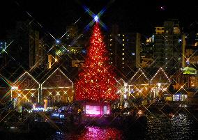 Hokkaido snapshot: Christmas tree lit up in northern Japan