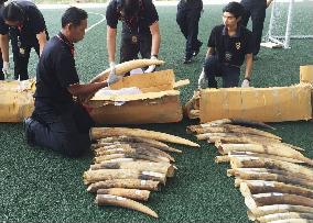 Thailand seizes $1 million worth ivory, pangolin scales
