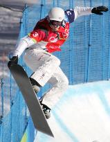 Wescott captures gold in men's snowboard cross