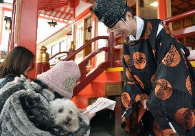 Dogs blessed at shrine