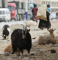 Aftermath of devastating earthquake in China's Qinghai Province