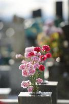 Carnations on gravestone
