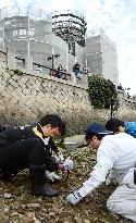 Hiroshima Univ. students dig for A-bombed tiles, debris on riverbed