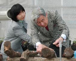 (2)Emperor Akihito, Empress Michiko, Princess Nori at rest
