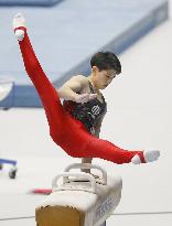 Gymnastics: Japan all-round title