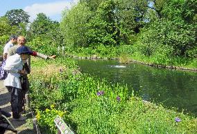 Tokyo's Higashi-Mukojima area: Garden in heart of metropolis