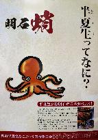 Western Japan city makes poster to encourage octopus consumption