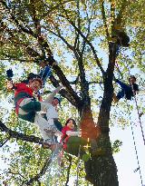 People enjoy tree climbing in Nagano town, central Japan
