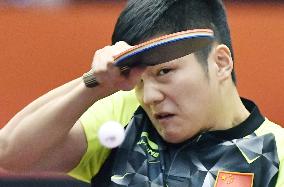 China's Fan wins Japan Open table tennis